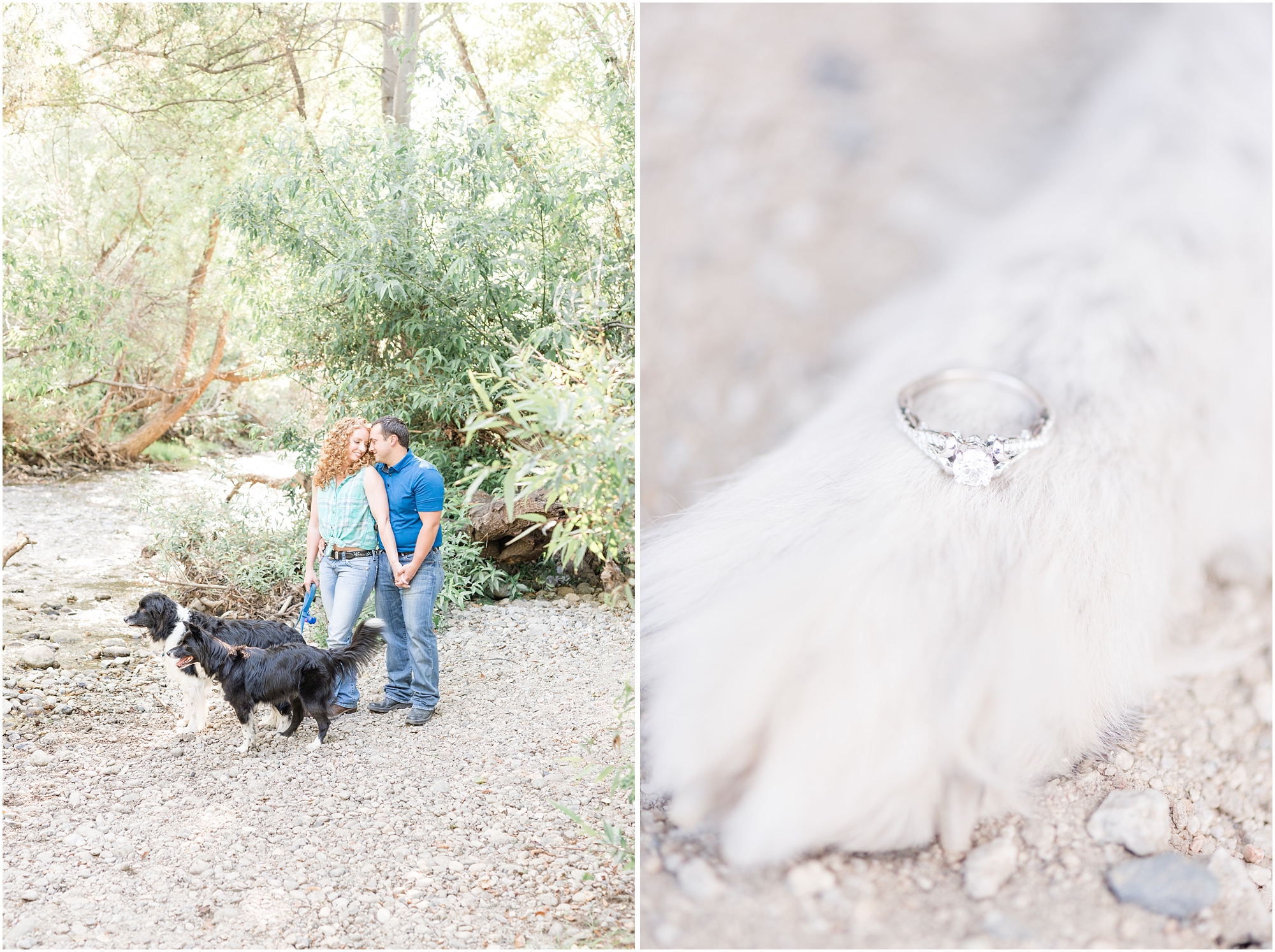 Monterey Bay Wedding | Engagement Photos | Dogs |