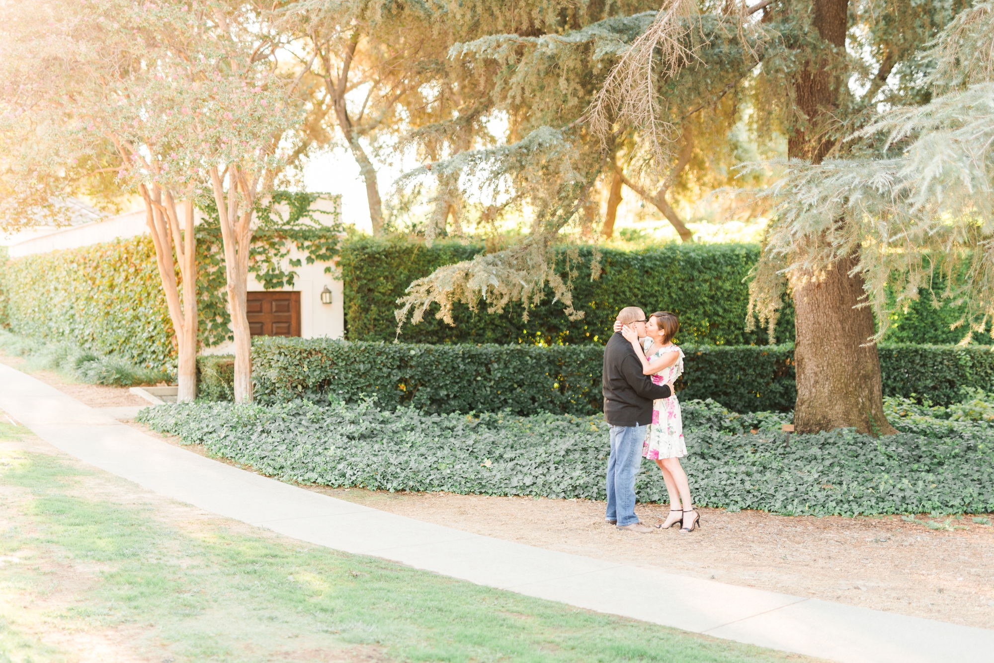 sunrise engagement session in a beautiful vineyard 