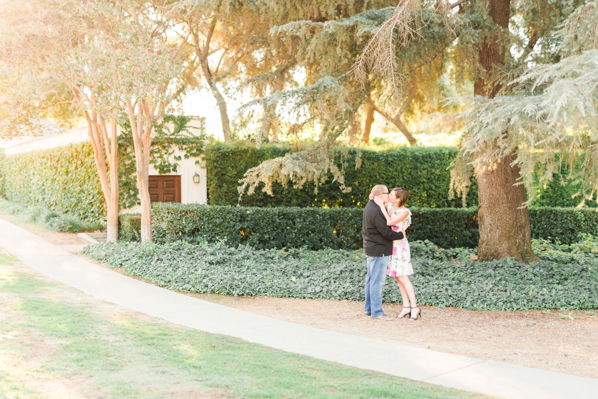 sunrise engagement session in a beautiful vineyard