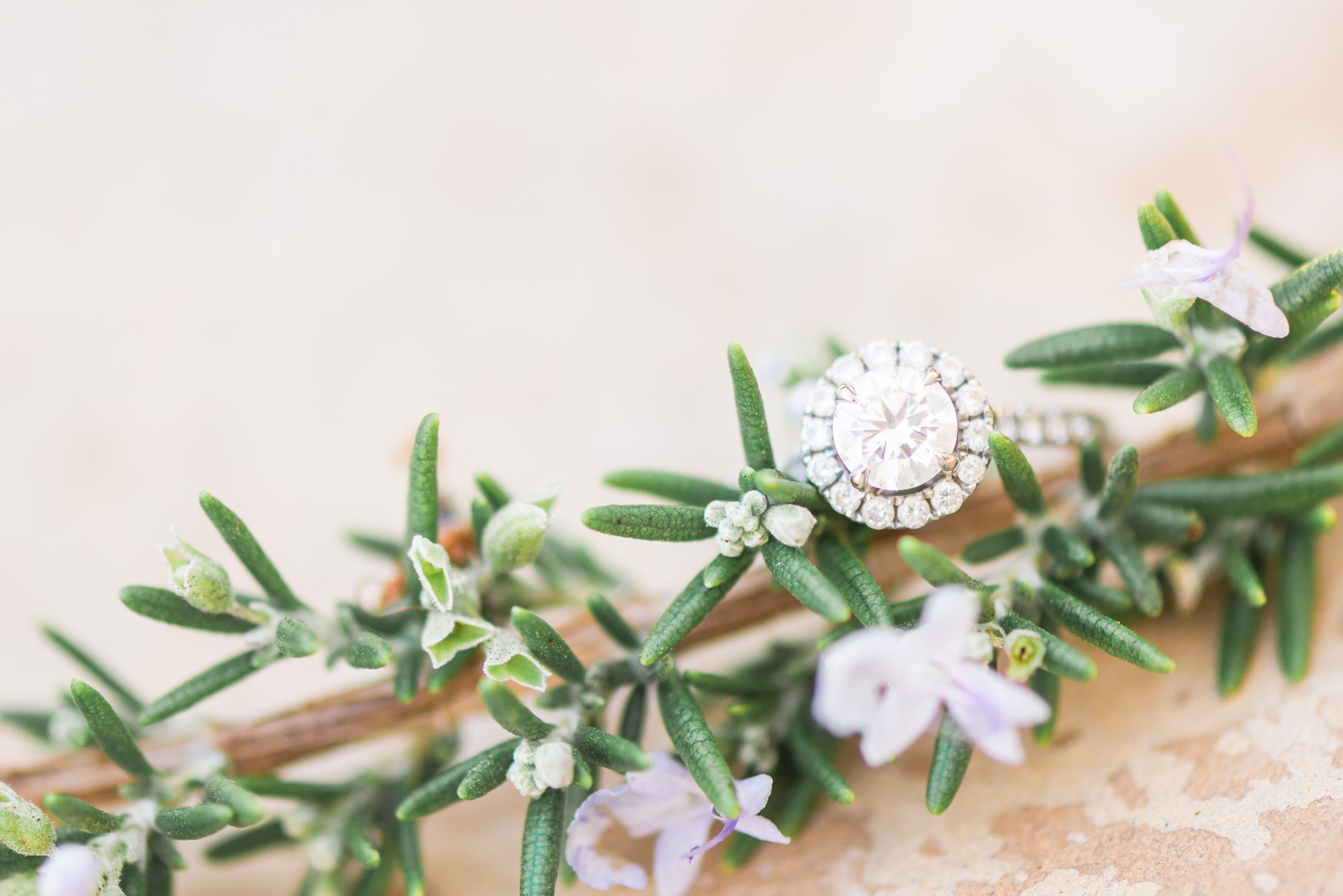 engagement ring photo close up