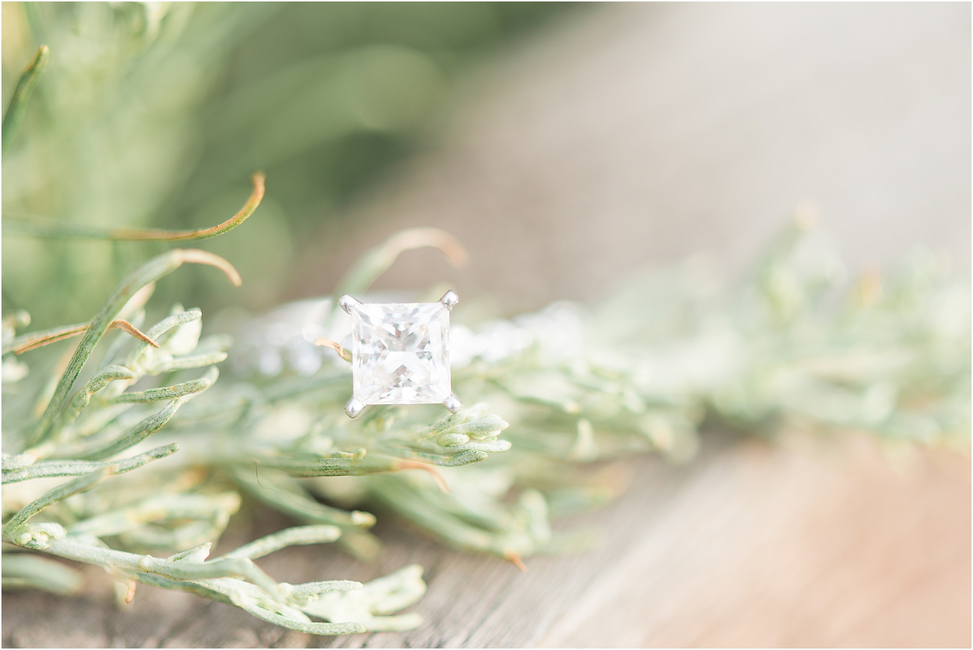 Laguna Beach Engagement Session_0633.jpg