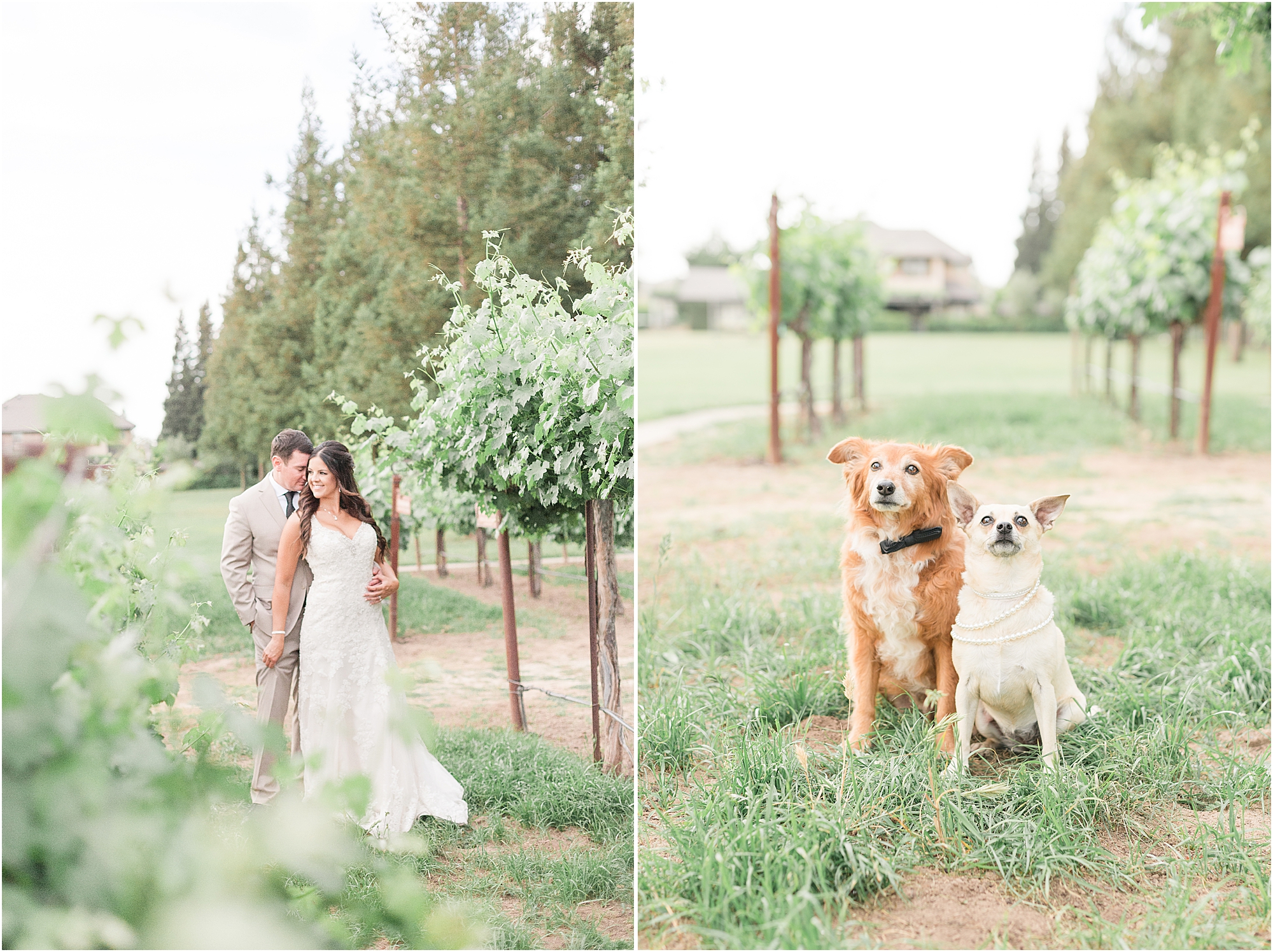 wedding poses in vineyard lodi wedding venue 