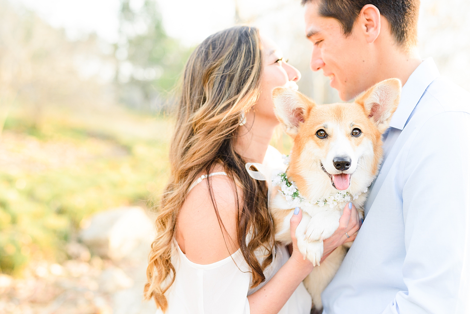 Inlcuding your dog on your wedding day or engagement session_0206.jpg