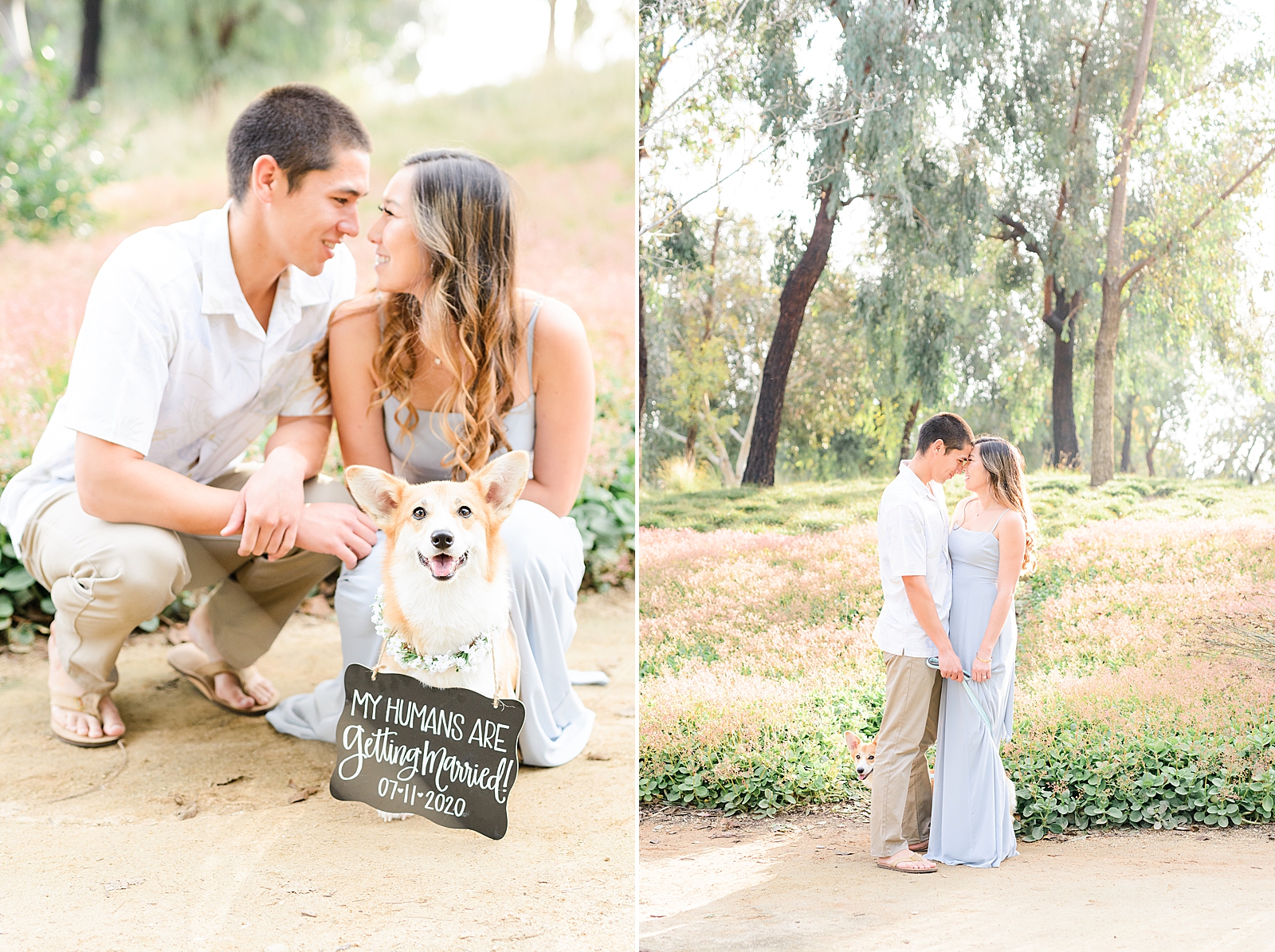 Inlcuding your dog on your wedding day or engagement session_0208.jpg
