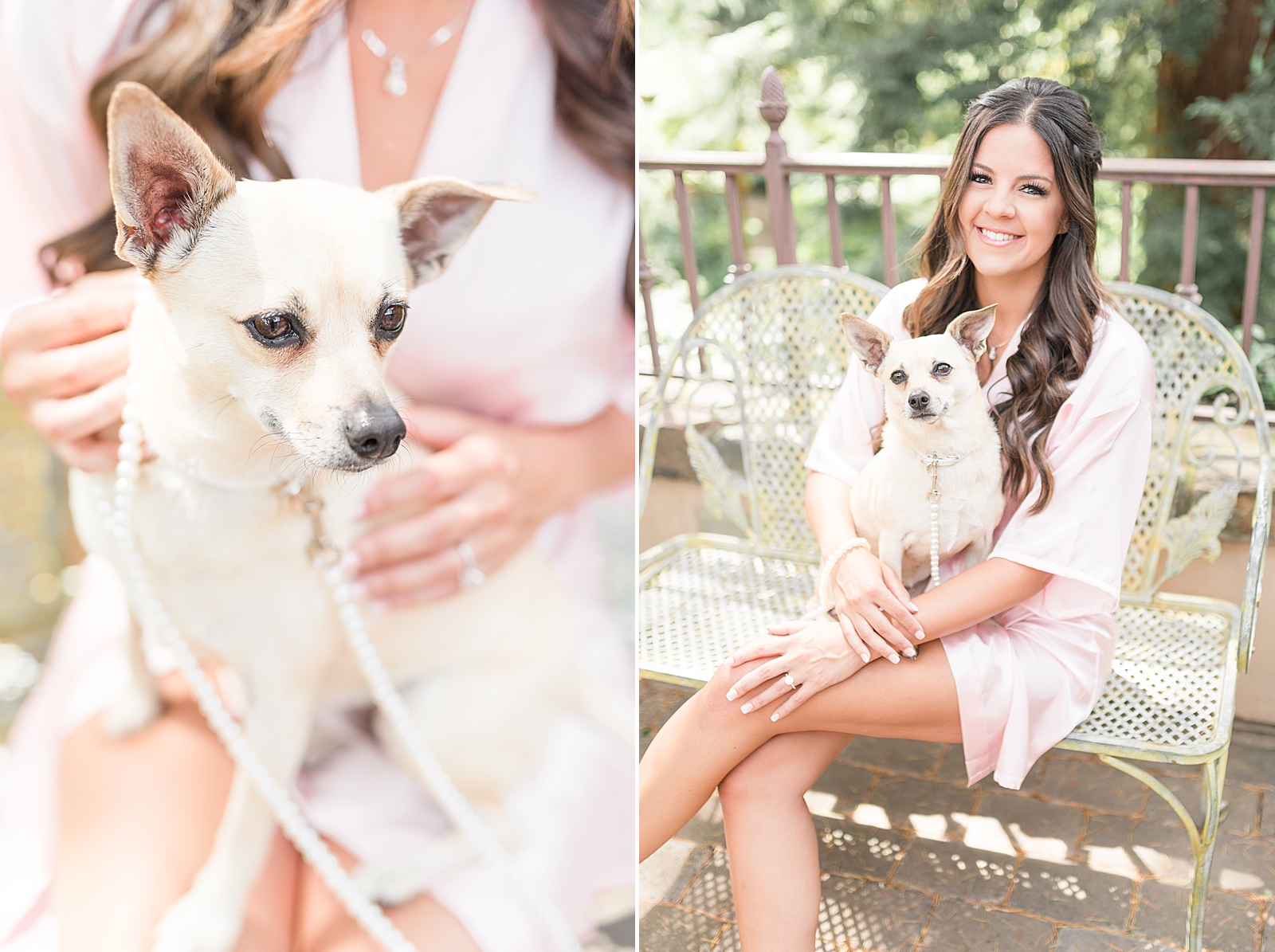 Inlcuding your dog on your wedding day or engagement session_0215.jpg