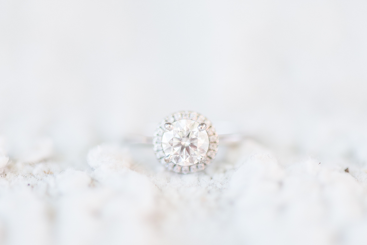 Joshua Tree, CA Lifestyle Engagement Session -160.jpg Joshua Tree, CA Lifestyle Engagement Session -160.jpg