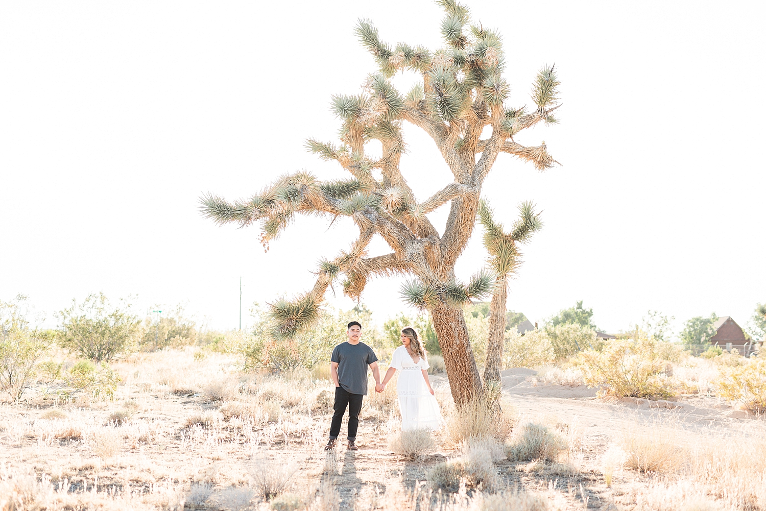 Joshua Tree, CA Romantic Boho Engagement Session-179.jpg Joshua Tree, CA Engagement Session-179.jpg