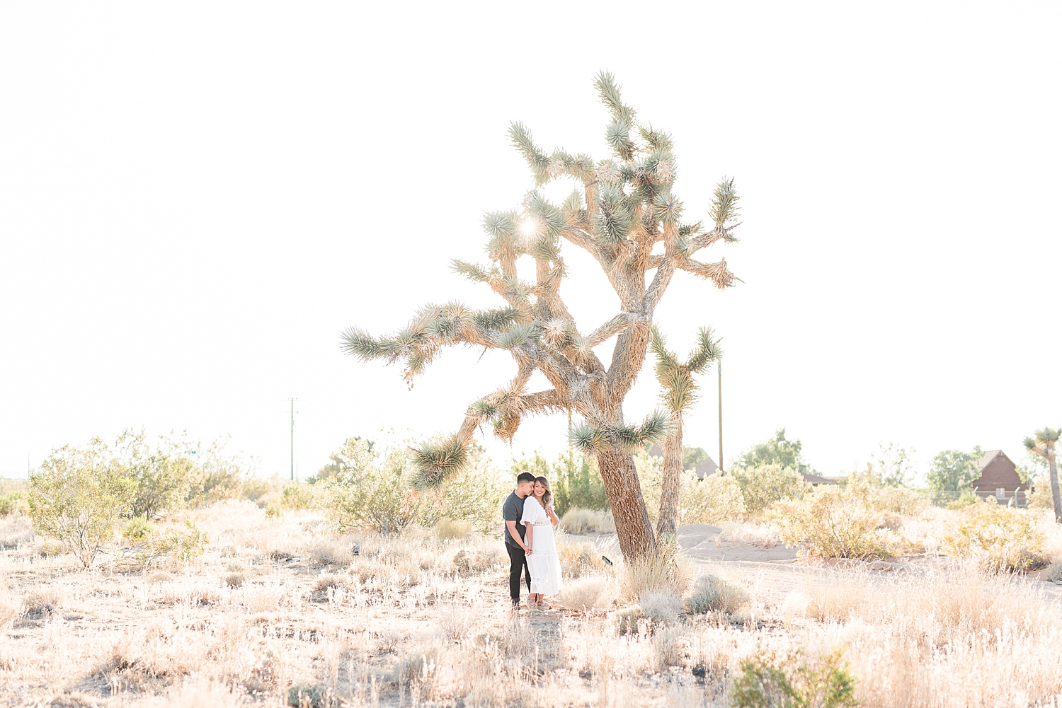 Joshua Tree, CA Romantic Boho Engagement Session-218.jpg Joshua Tree, CA Romantic Boho Engagement Session-218.jpg