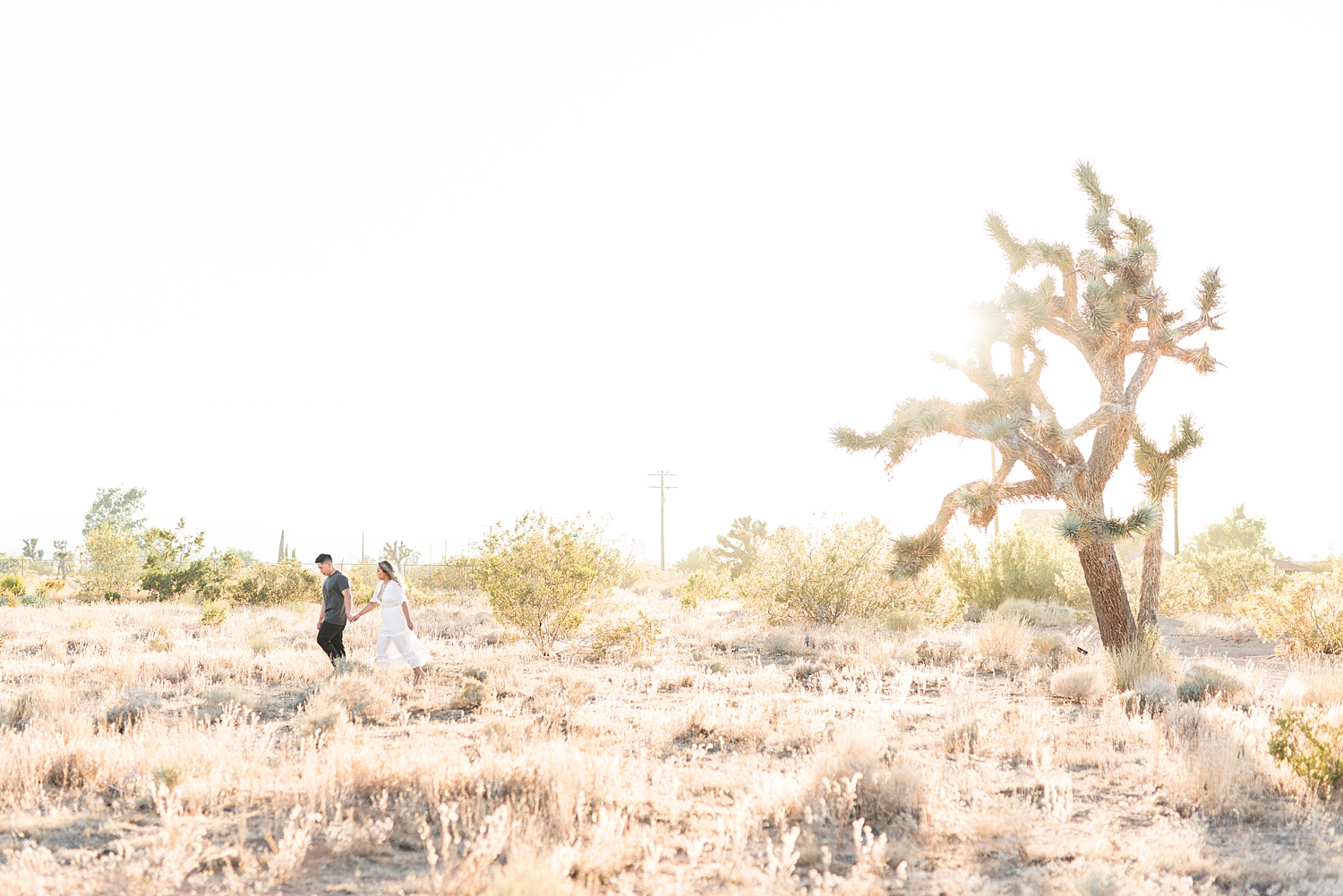 Joshua Tree, CA Romantic Boho Engagement Session-243.jpg Joshua Tree, CA Romantic Boho Engagement Session-243.jpg