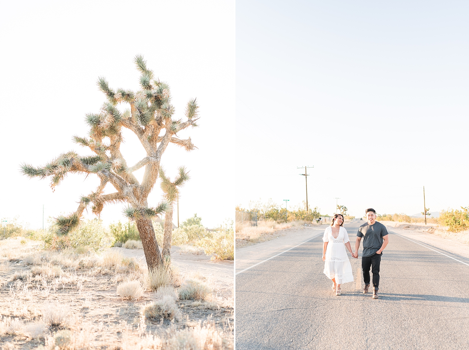 Joshua Tree, CA Romantic Boho Engagement Session-244.jpg Joshua Tree, CA Romantic Boho Engagement Session-244.jpg