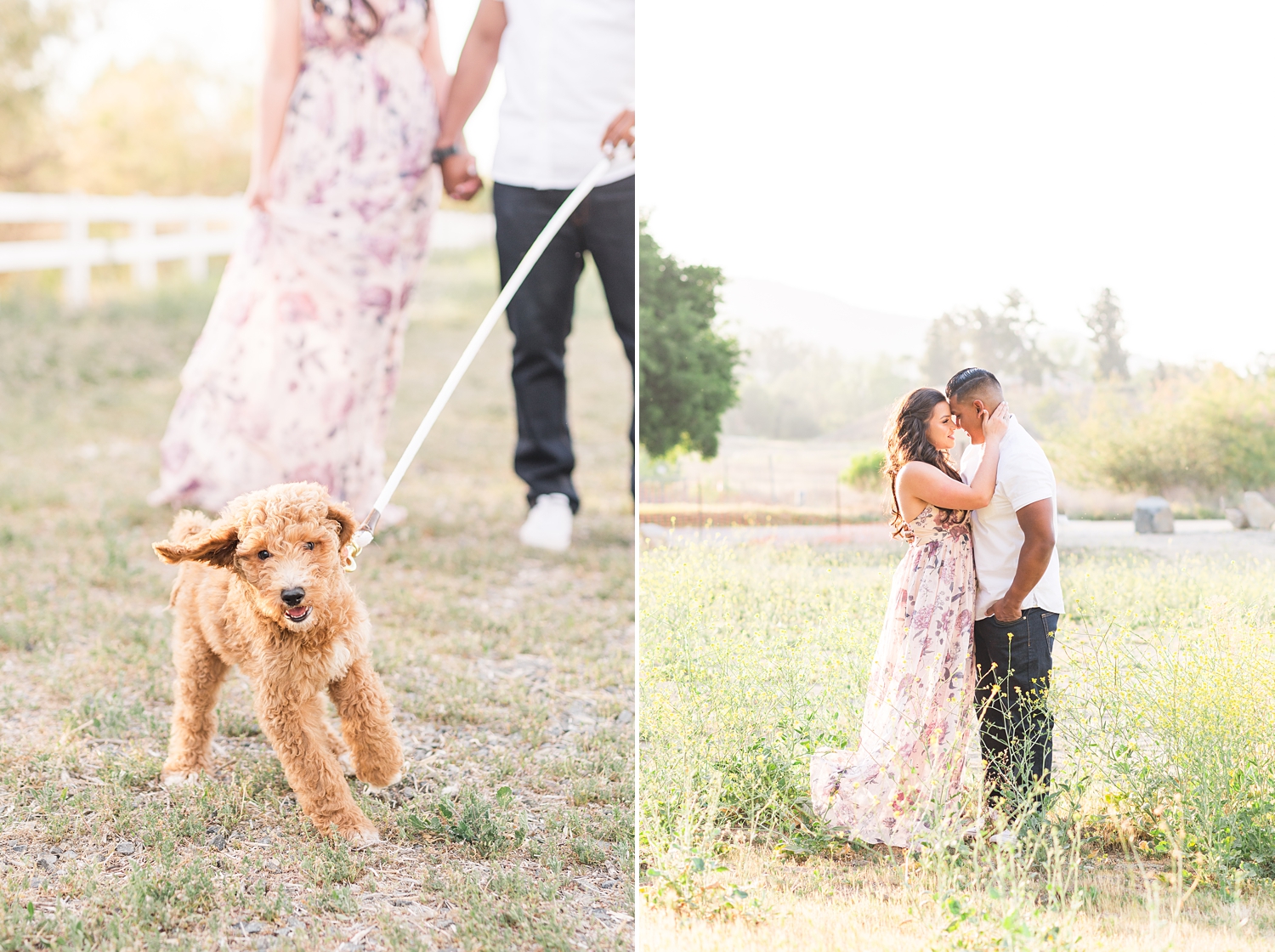 spring time engagement photos with puppy_0208.jpg