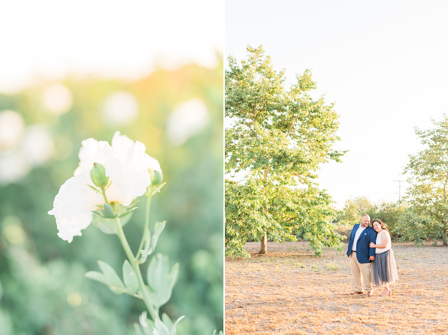 San Juan Capistrano | Engagement | Wedding Photographer | Los Rios_0280.jpg San Juan Capistrano | Engagement | Wedding Photographer | Los Rios_0280.jpg