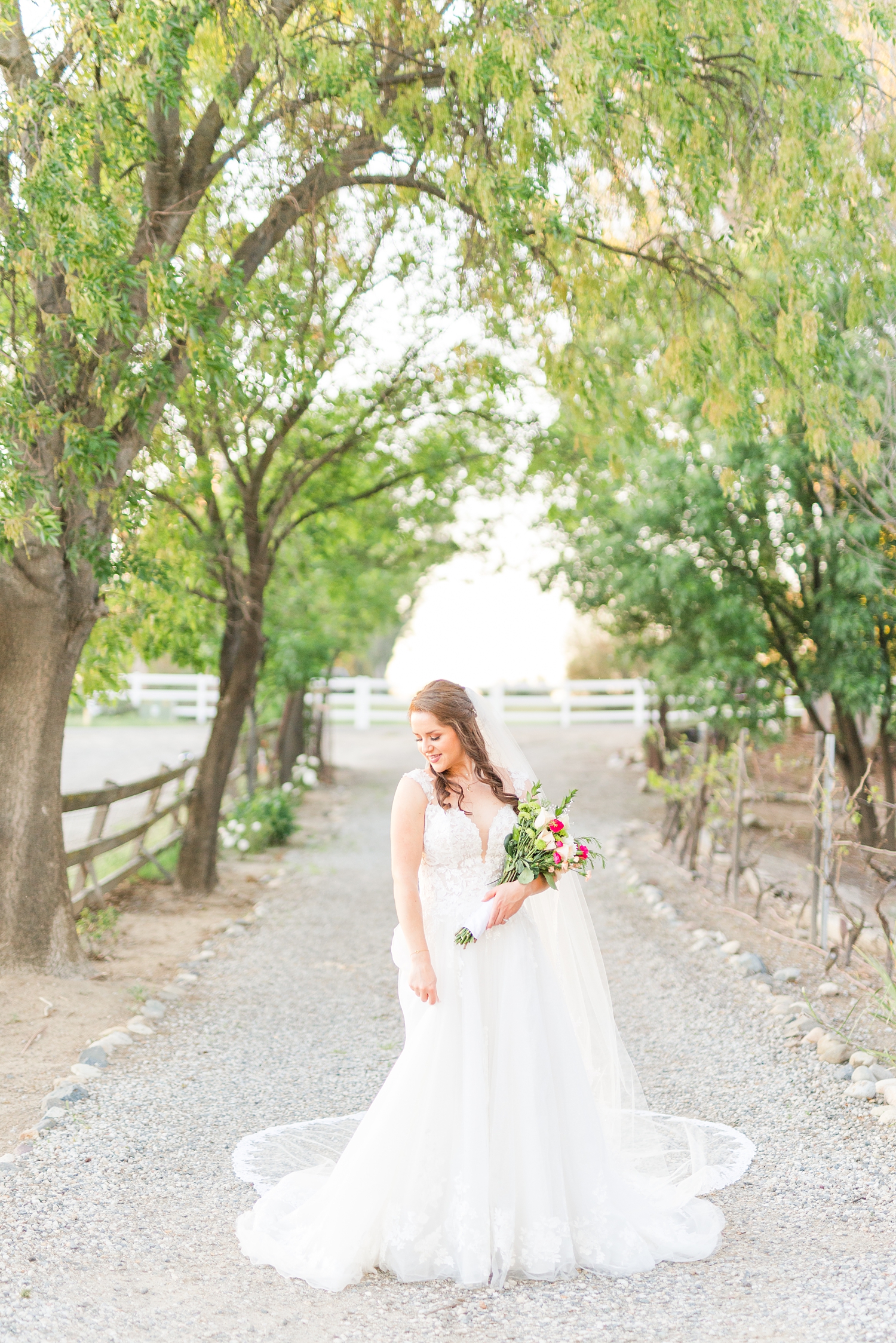 Bridal Session in a winery in temecula from a Temecula Wedding Photographer_0017.jpg