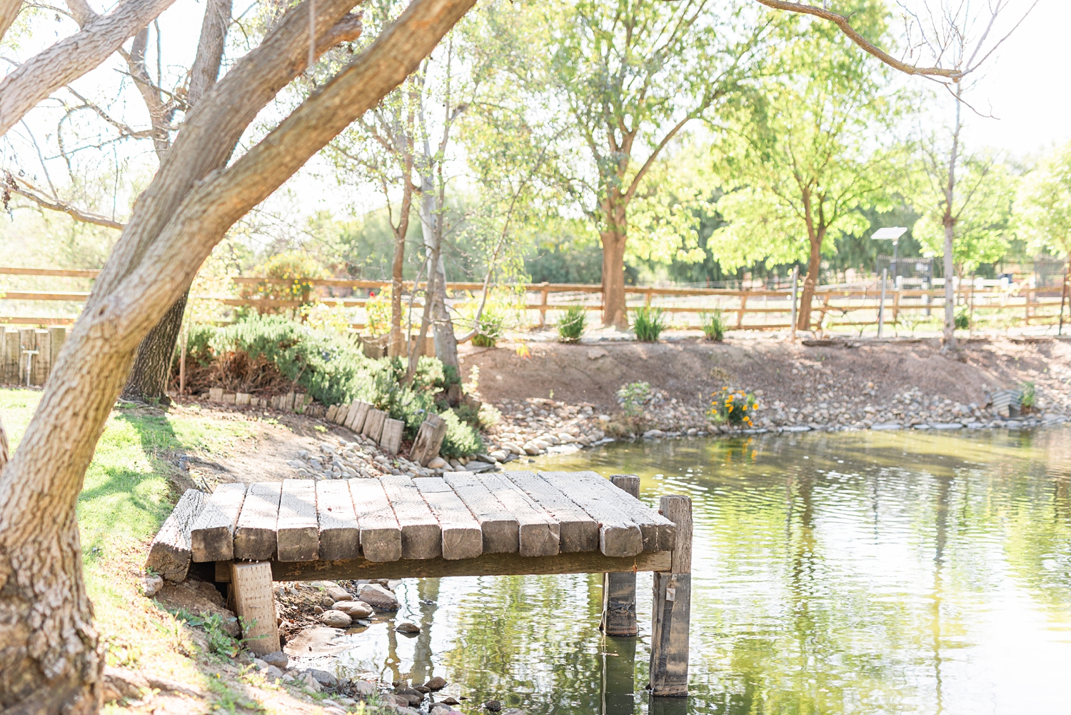 Winery Wedding in temecula | Lorimar Winery | Coachhouse_0027.jpg Winery Wedding in temecula | Lorimar Winery | Coachhouse_0027.jpg