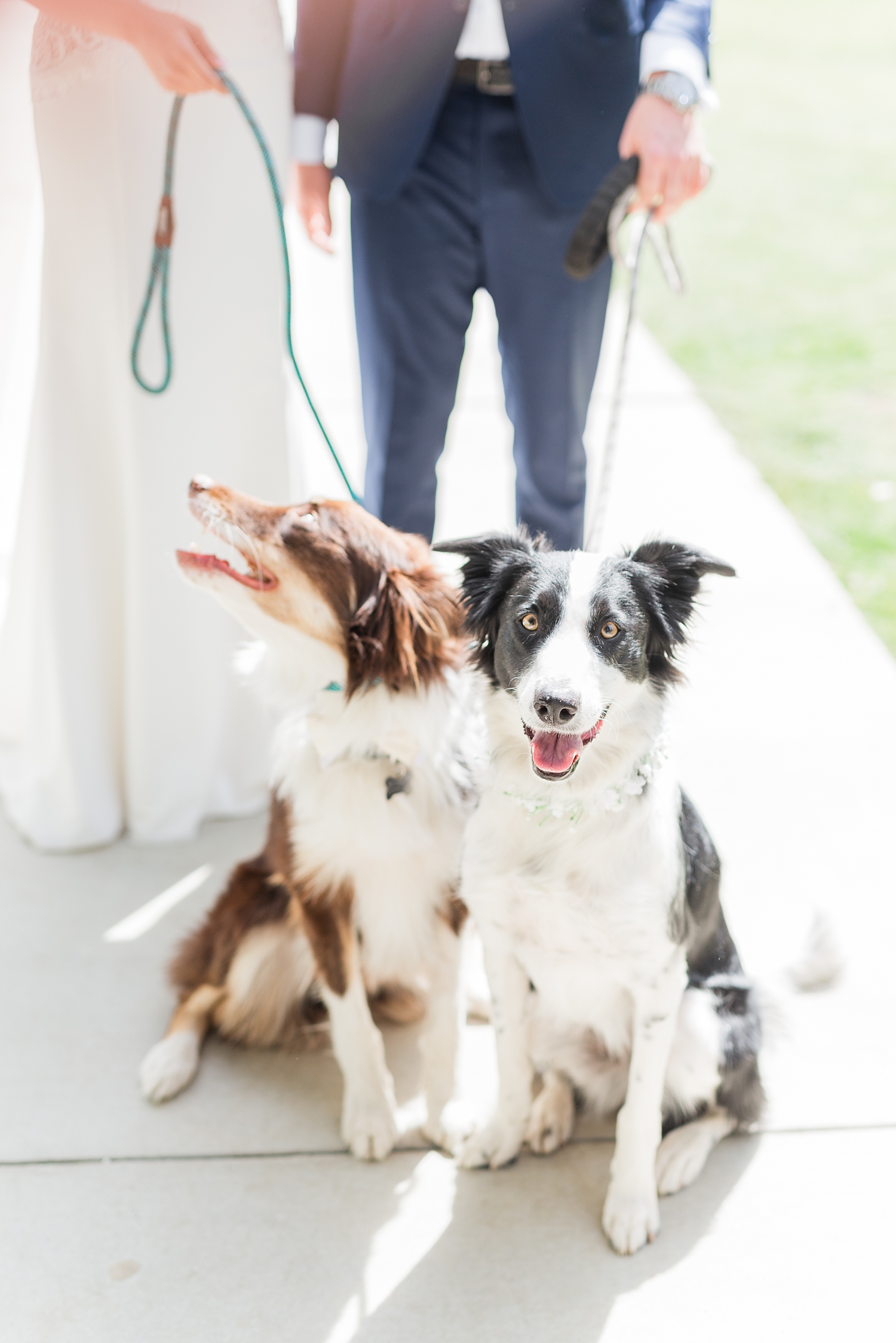 Calamingos Ranch Wedding | Malibu CA Wedding | Malibu Wedding Photographer | Deeksha + Nathan-63.jpg