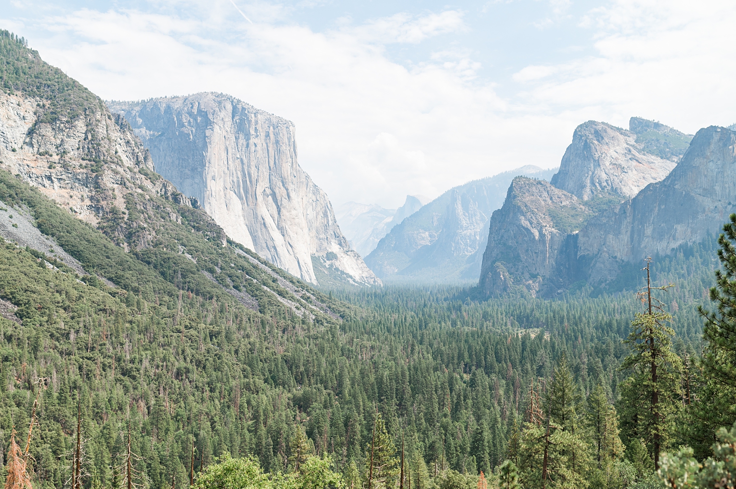 Yosemite National Park Engagement Session -3.jpg