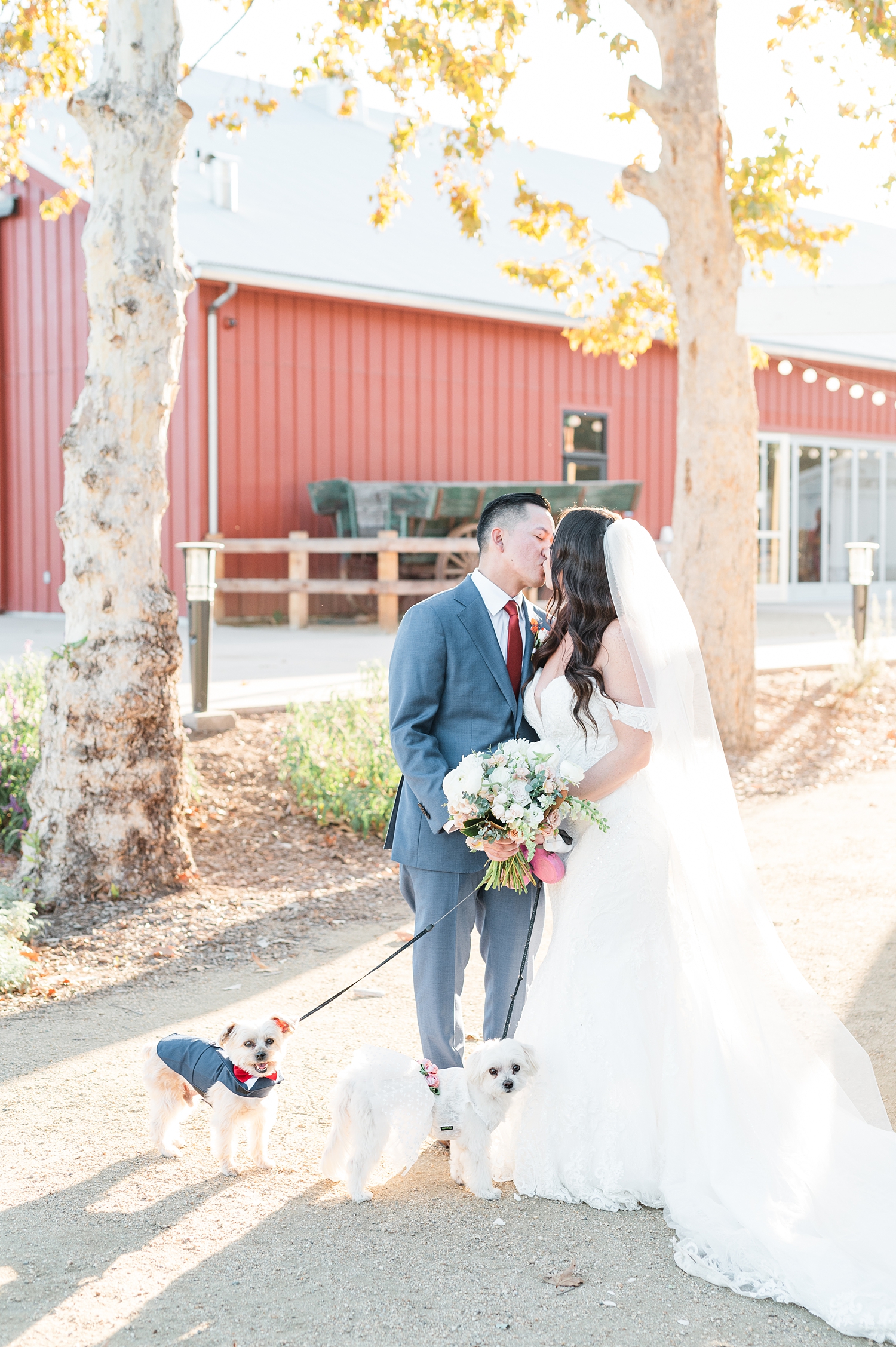 The Barn at Aliso Viejo Ranch | Orange County Wedding Photographer -81.jpg