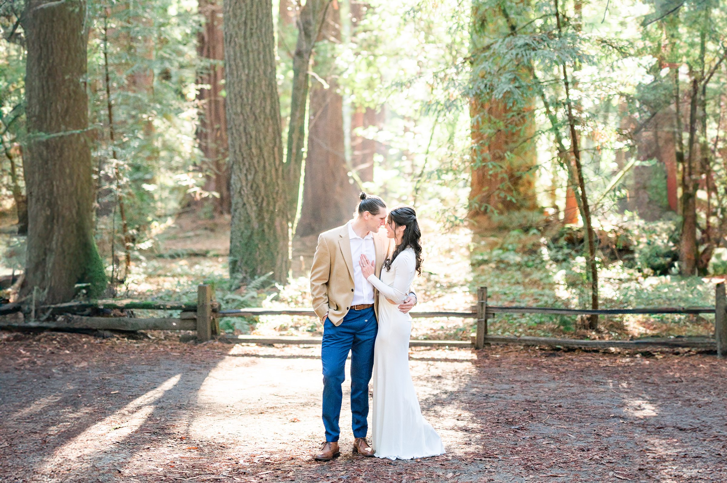 A magical Redwoods Engagement Session in San Jose 