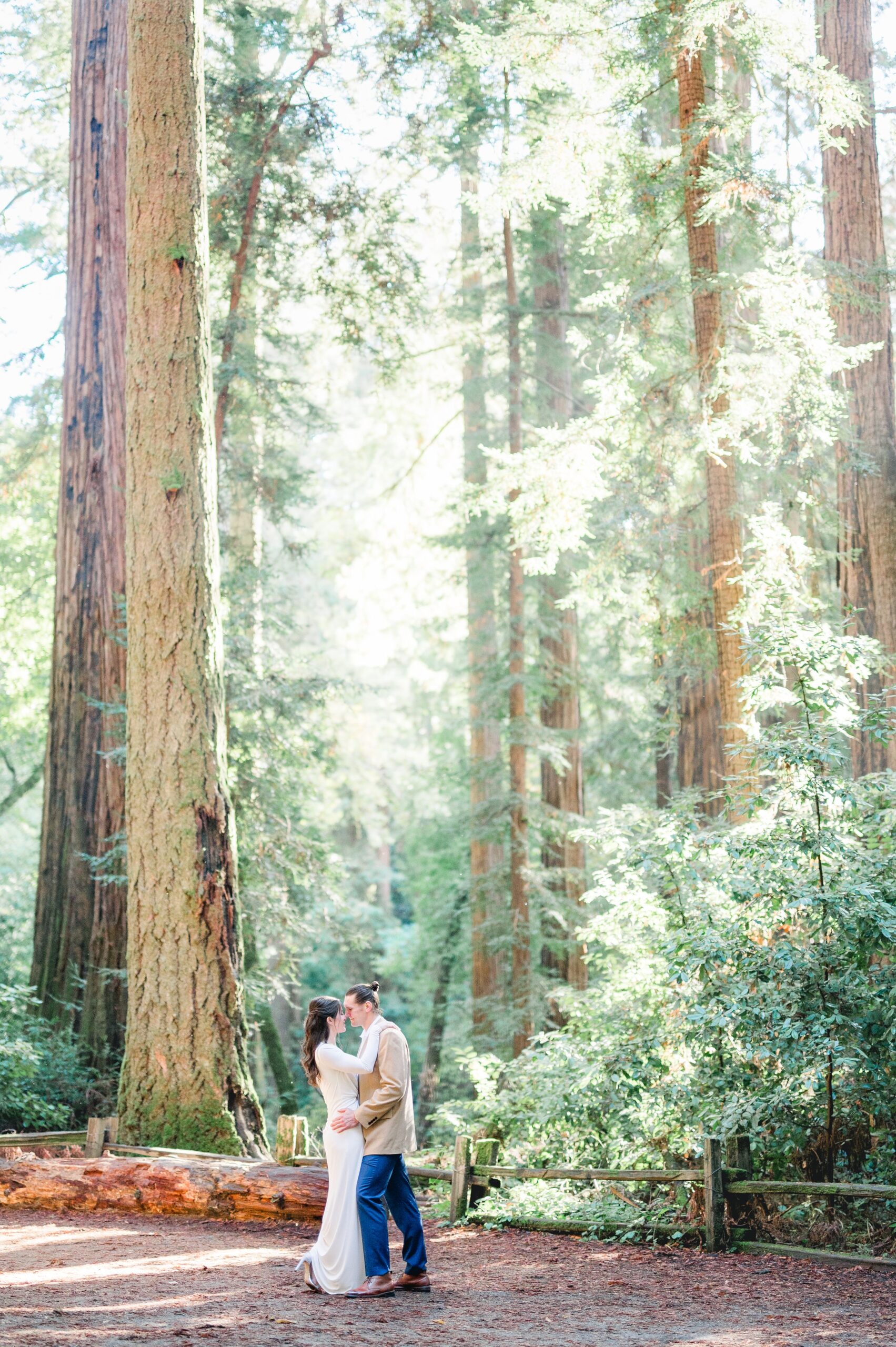 dreamy engagement photos in the redwoods forest of San Jose 