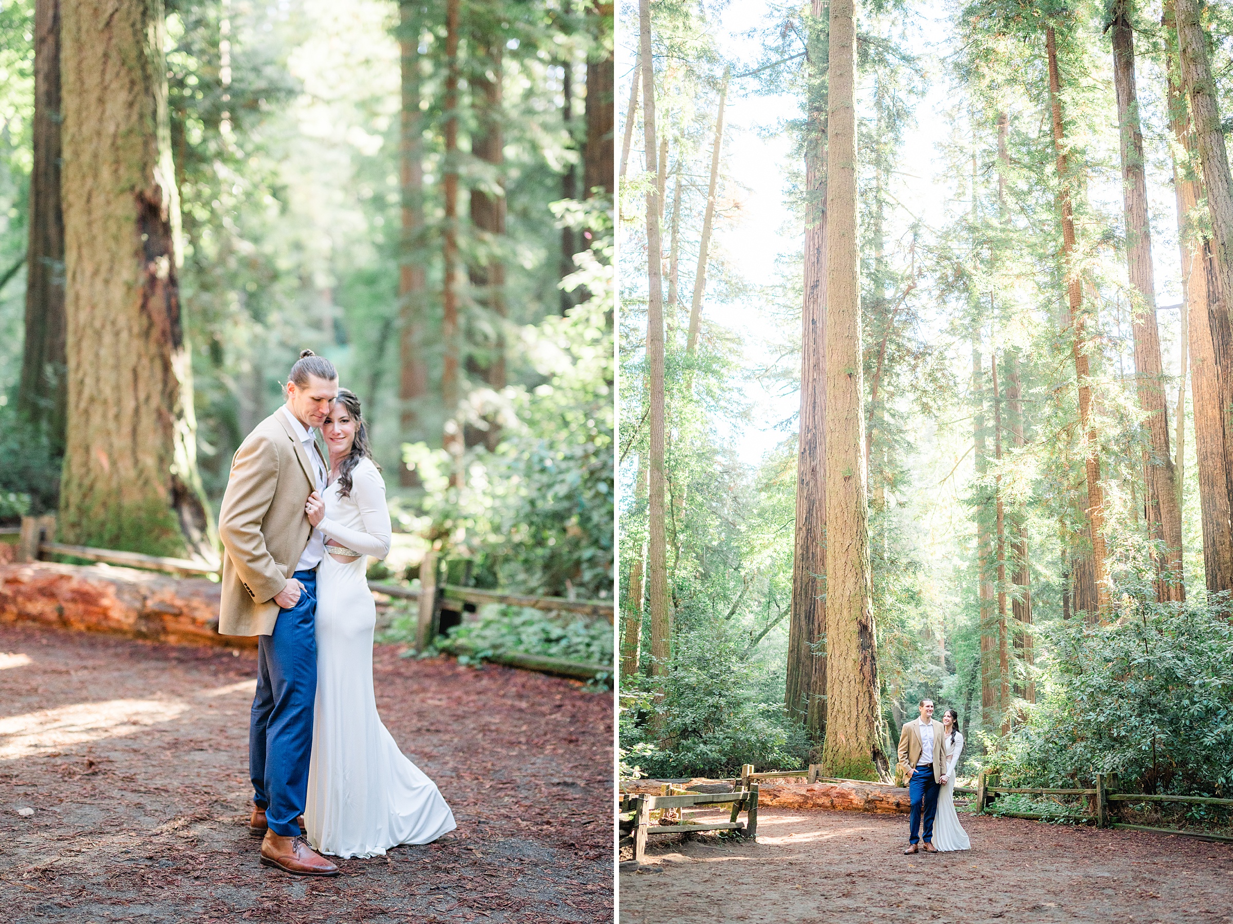 Fine art San Jose Wedding Photographer in the Redwoods 