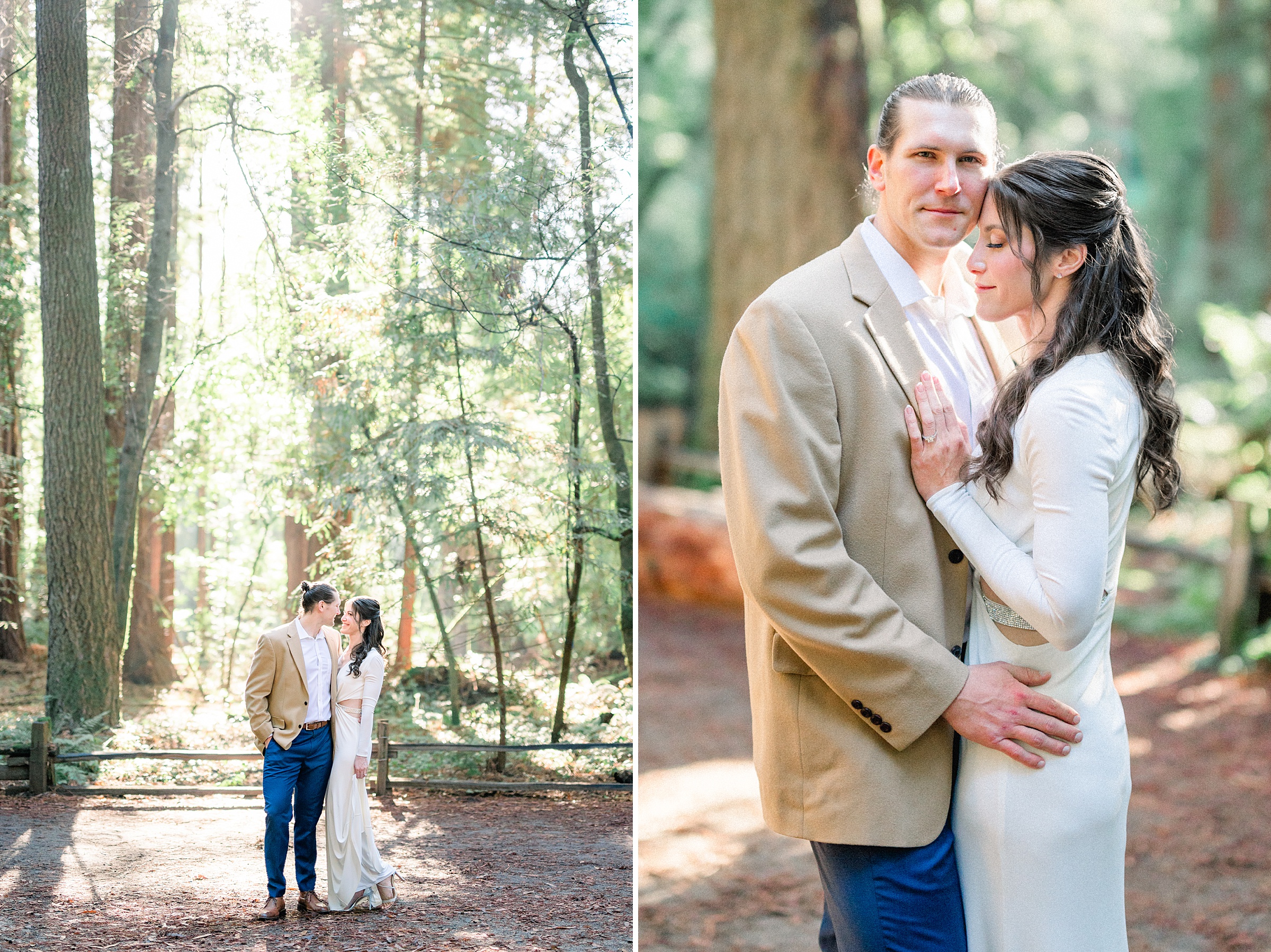 romantic redwoods photos