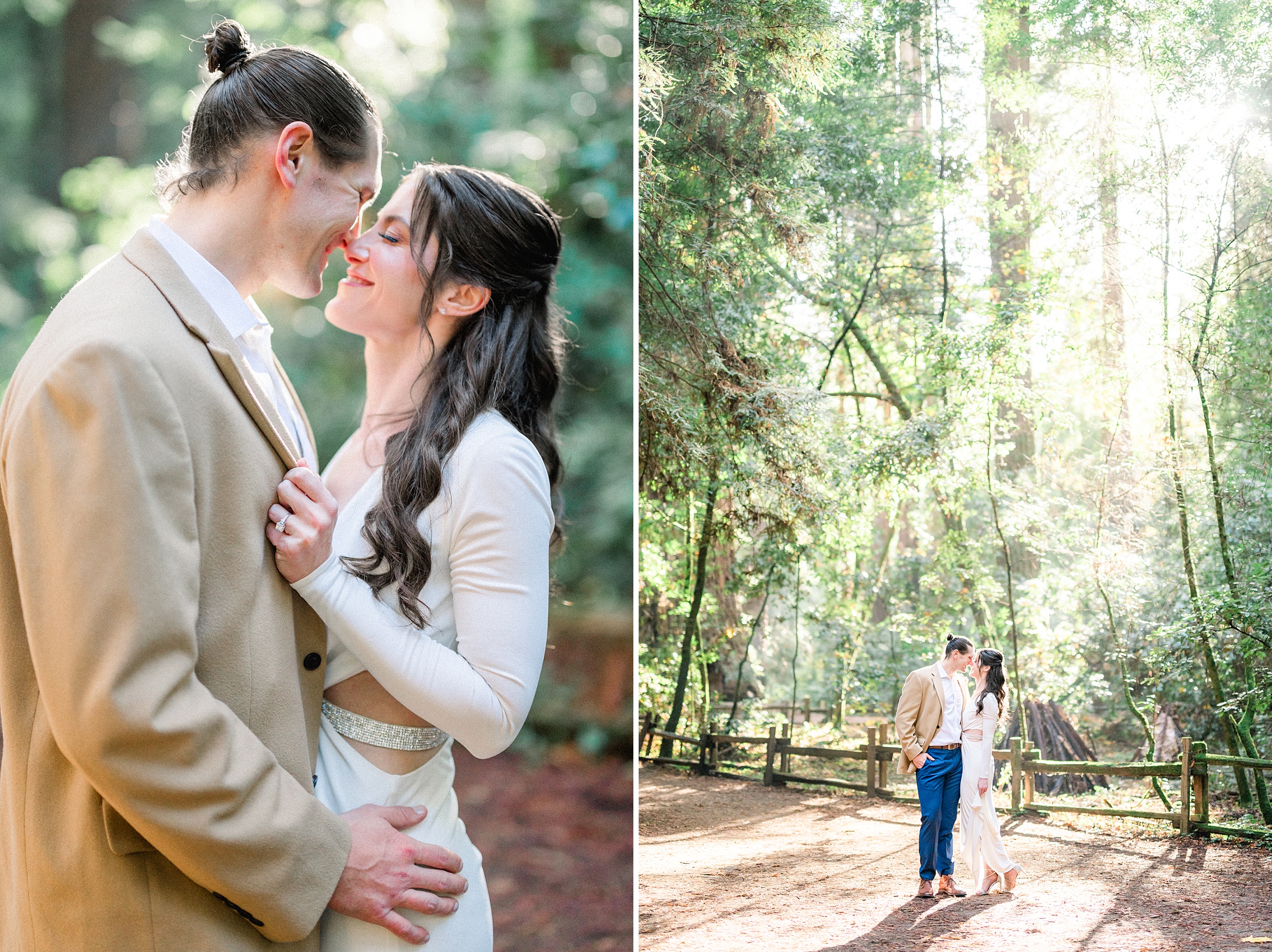Henry Cowell redwoods State park engagement photos 